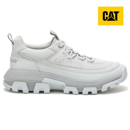 CAT Raider Lace Men's Sneakers Grey (AU Z-537) Australia